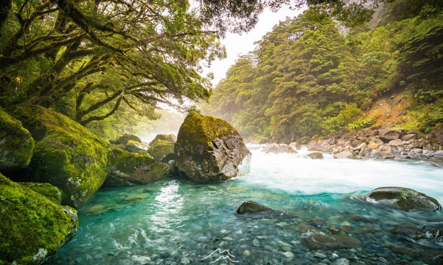 the-hollyford-river